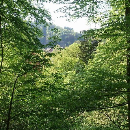 Pension/Bed And Breakfast Pangea Bad Lauterberg Esterno foto