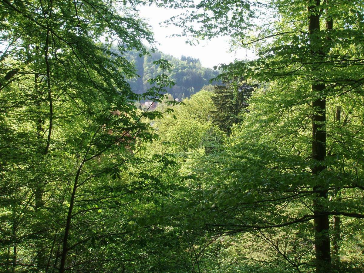 Pension/Bed And Breakfast Pangea Bad Lauterberg Esterno foto