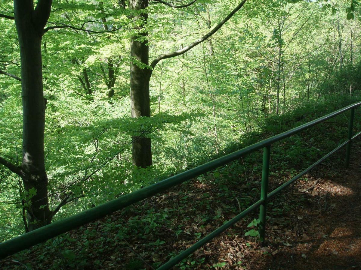 Pension/Bed And Breakfast Pangea Bad Lauterberg Esterno foto