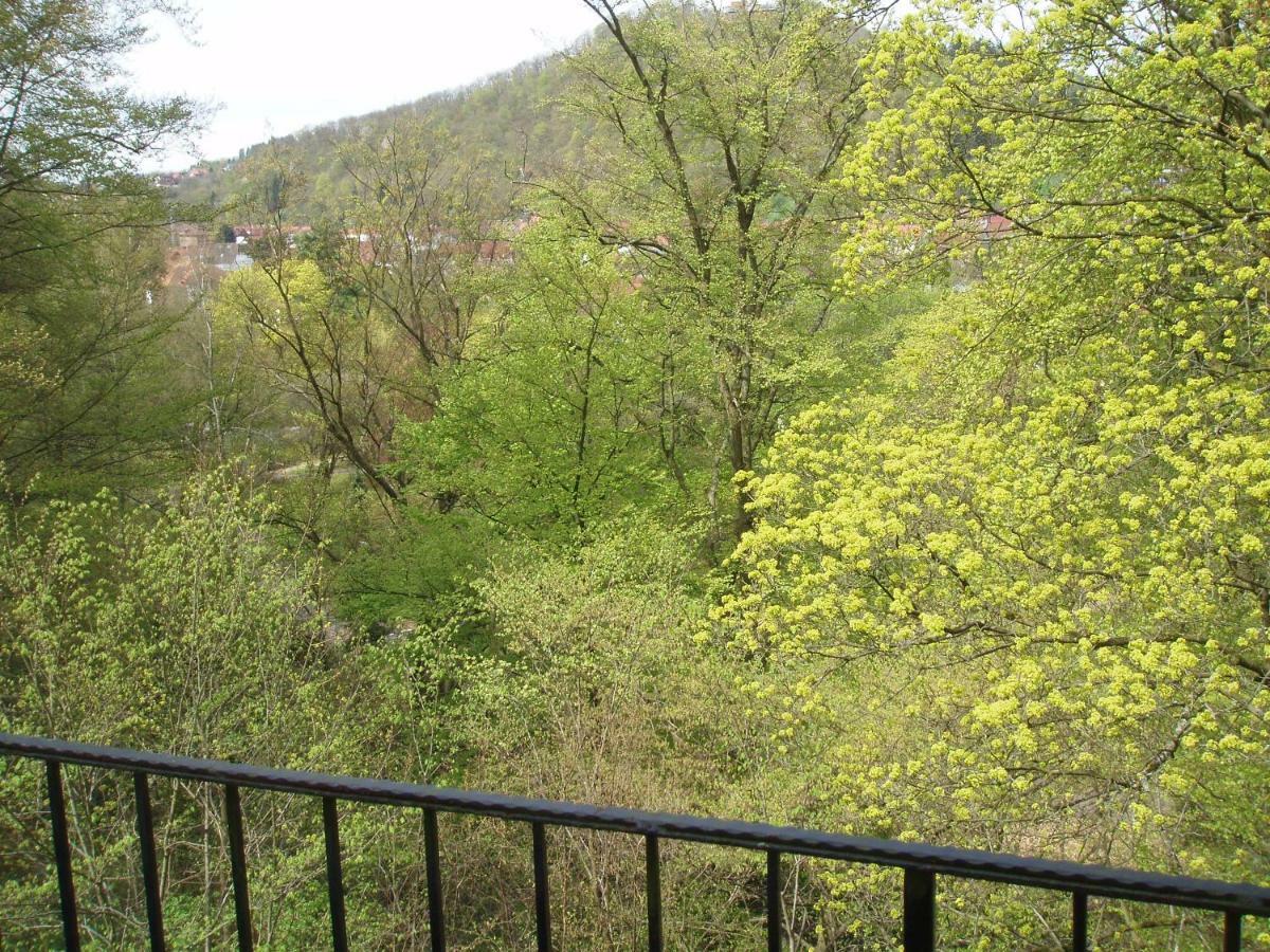 Pension/Bed And Breakfast Pangea Bad Lauterberg Esterno foto