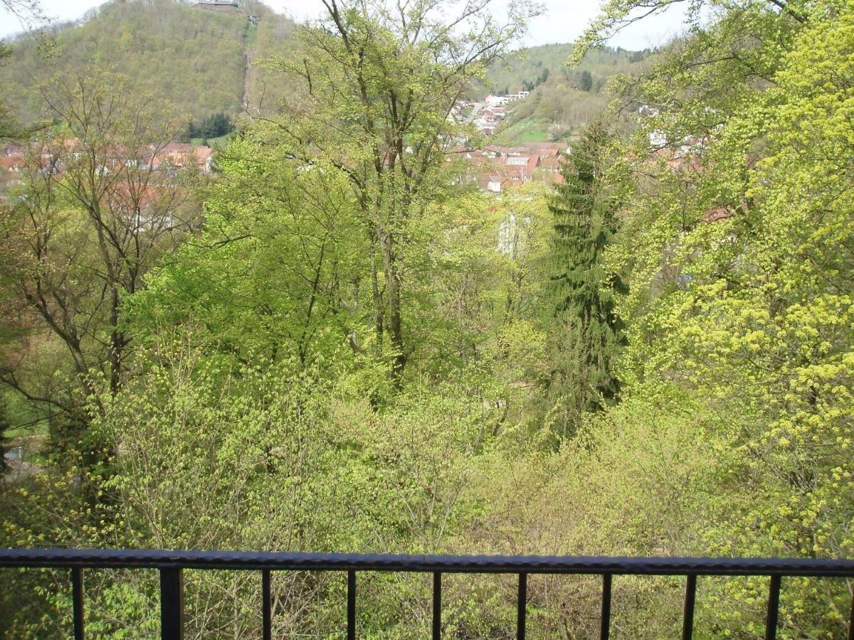 Pension/Bed And Breakfast Pangea Bad Lauterberg Esterno foto